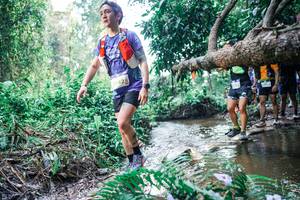 BIB: 
                            <button type="button" onclick="openModal(25455441)" class="btn btn-primary btn-sm float-right btn-popup" data-toggle="modal" data-target=".modal-high-quality">
                        <i class="fas fa-shopping-cart"></i> Add to Cart
                    </button>
                                            <button type="button" onclick="isThisMe(25455441, true)" class="btn btn-success btn-sm float-right btn-popup btn-isme hidden" data-toggle="tooltip" data-placement="bottom" title="นี่คือรูปของคุณใช่ไหม คลิกที่นี่เพื่อเอาเข้าอัลบั้ม">
                        <i class="fas fa-plus"></i> Add to album
                    </button>
                    <button type="button" onclick="isThisMe(25455441, false)" class="btn btn-warning btn-sm float-right btn-popup btn-isnotme hidden">
                        <i class="fas fa-ban"></i> Remove from album
                    </button>